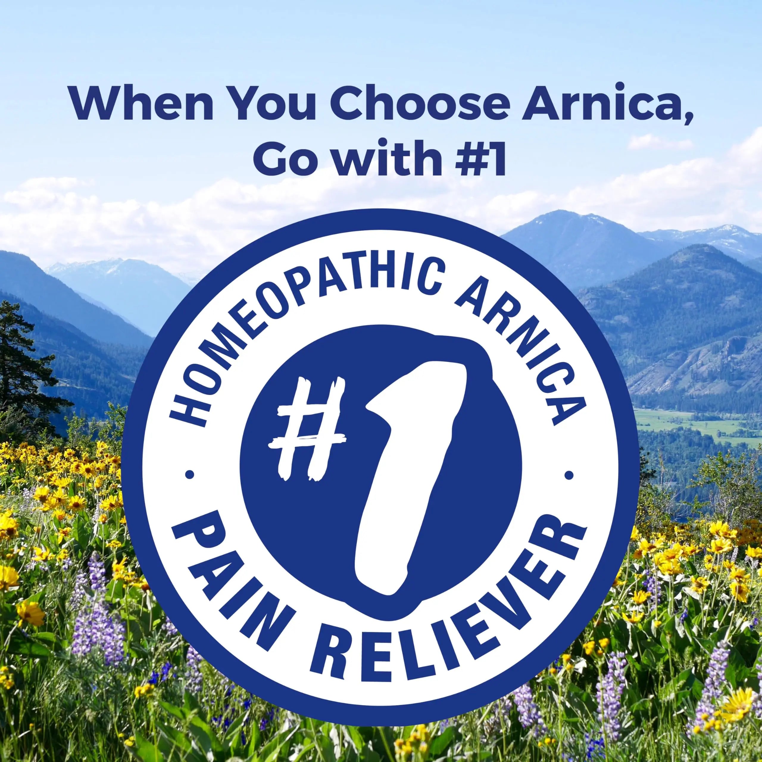 Boiron Arnica Montana 30X Homeopathic Medicine for Relief from Muscle Pain, Muscle Stiffness, Swelling from Injury, and Discoloration from Bruises - 3 Count (240 Pellets) BoironAu supplements