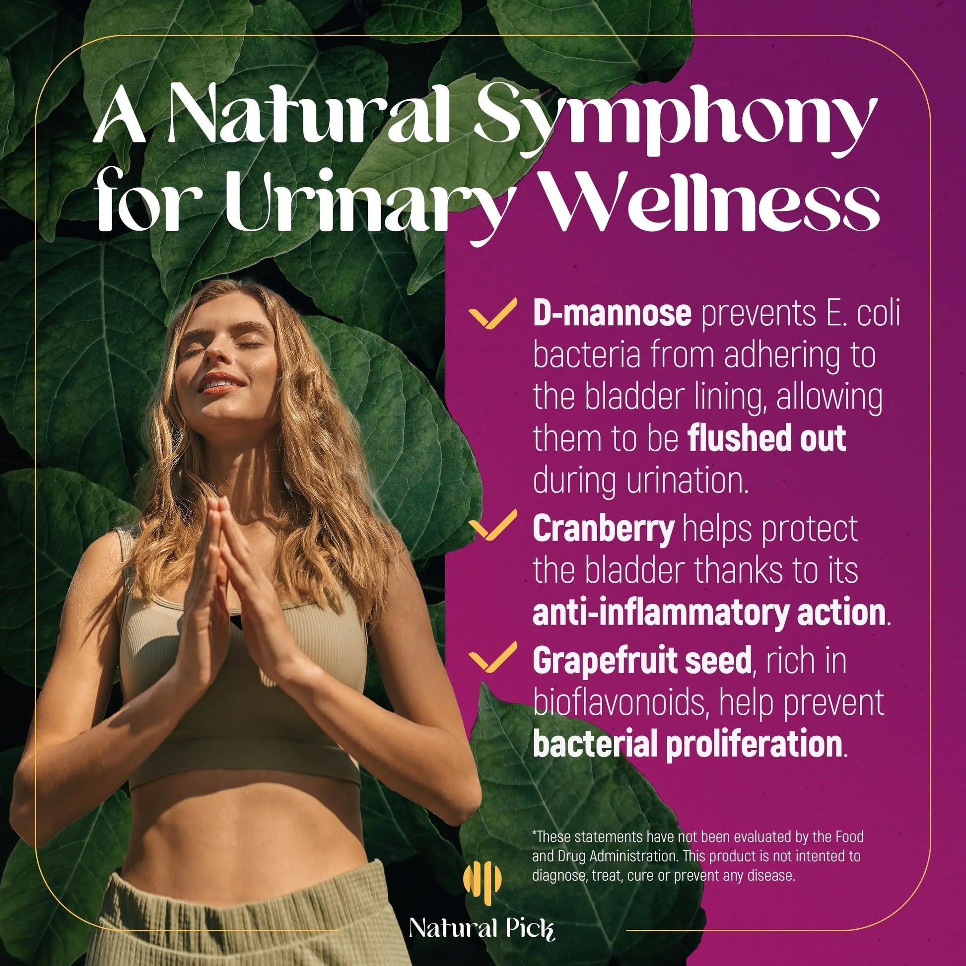 Natural Pick D-Mannose - Cranberry & Grapefruit – Cranberry Pills, UTI Treatment and Fast Relief for Women | Urinary Tract & Bladder Support. 90 Vegan Capsules, D mannose Supplements for Women Natural PickAu supplements