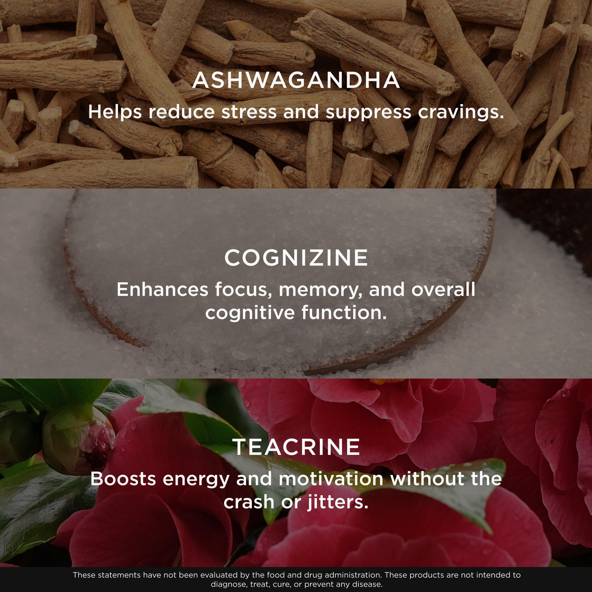 Genius Thermogenic Fat Burner, 60 Diet Veggie Pills - Weight Loss & Metabolism Supplement, Appetite Suppressant & Energy Booster - Caffeine-Free Nootropic Focus & Brain Boost - Ashwagandha & TeaCrine The Genius BrandAu supplements