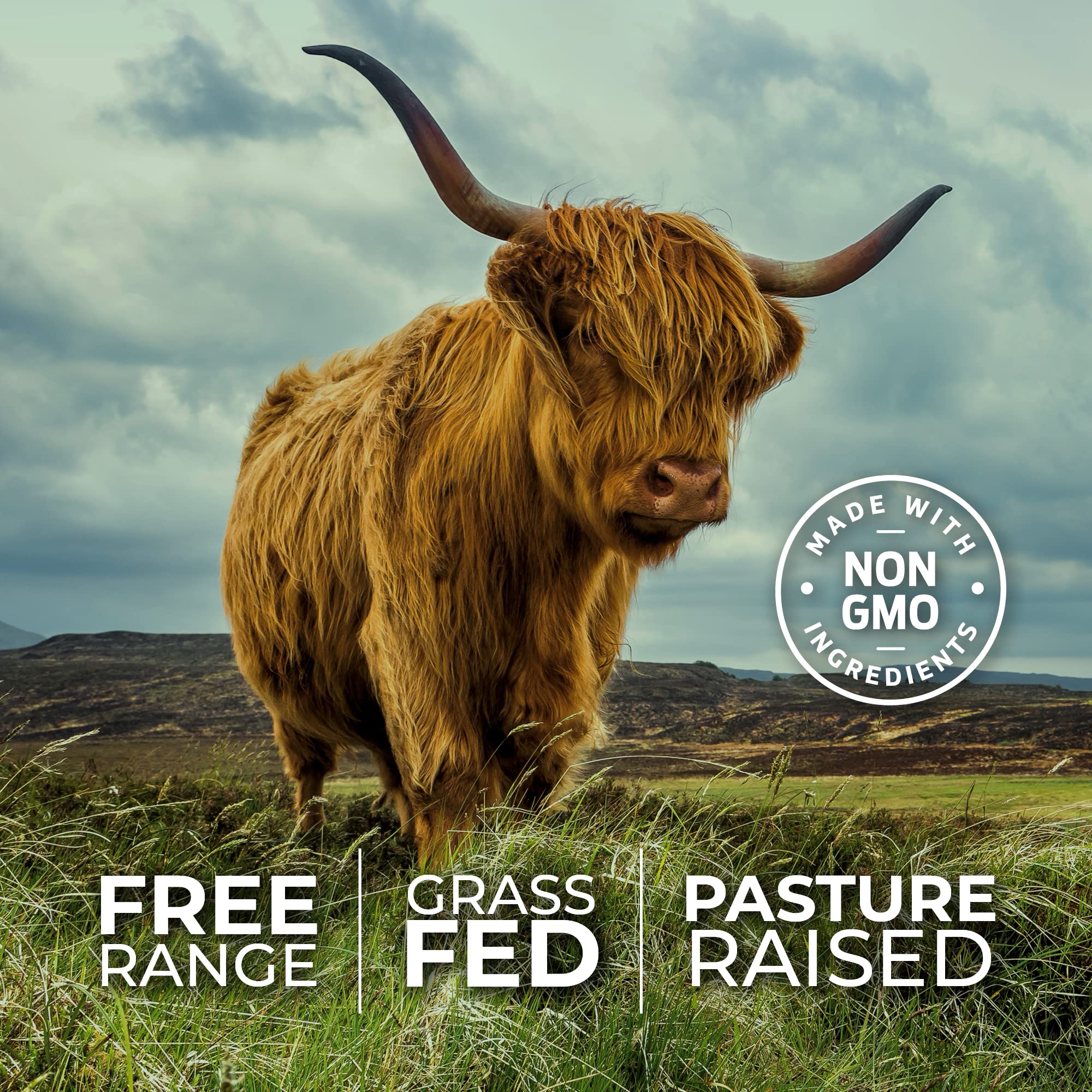 ForestLeaf Beef Organ Supplement - Grass Fed & Pasture Raised - Total Body Wellness & Performance, Organ Complex with 3000mg of Desiccated Beef Liver,
