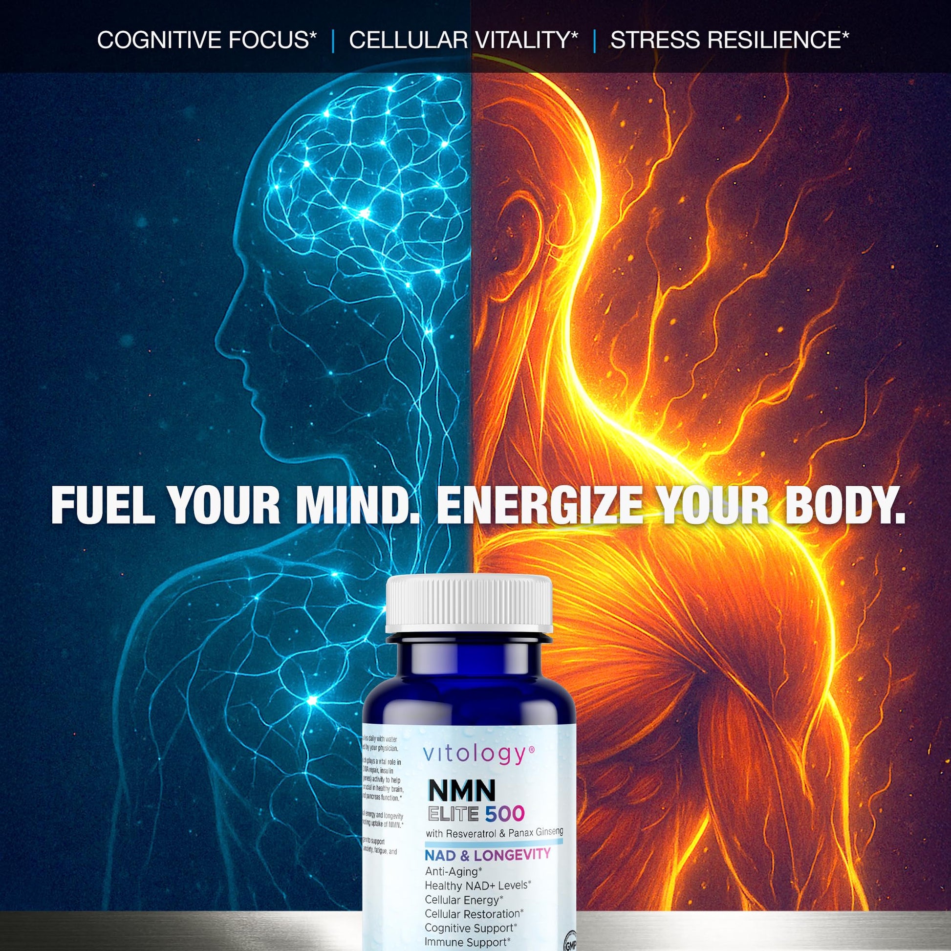 Vitology NMN Elite 500 – NMN 500mg, Resveratrol 200mg, Panax Ginseng 300mg – NAD+ Cellular Energy & Longevity Support Supplement – Focus, Vitality & Anti-Aging Formula – Non-GMO, Vegan Capsules VitologyAu supplements