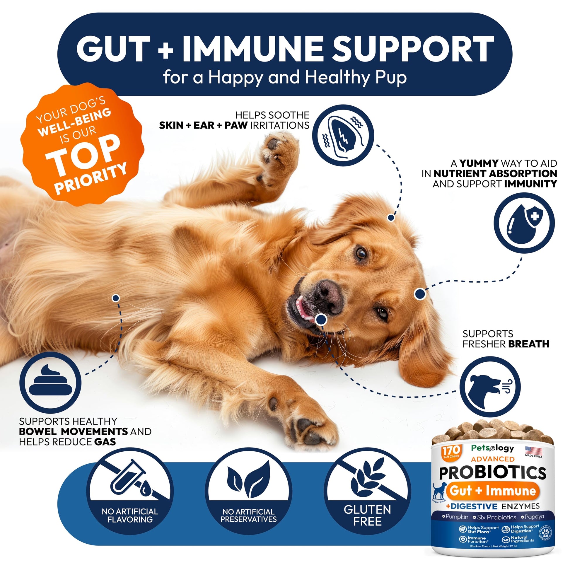 Probiotics for Dogs - 170 Dog Probiotics Chews - Digestive Enzymes & Prebiotics - Support Gut Health, Diarrhea, Gas & Constipation Relief - Itchy Skin, Allergies, Yeast Balance - Advanced Supplement PetsologyAu supplements