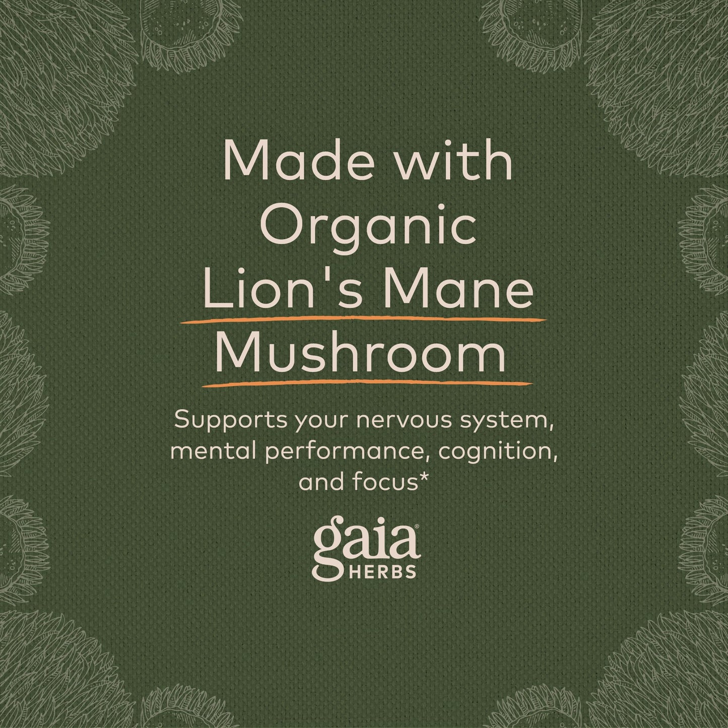 Gaia Herbs Organic Lion’s Mane Mushroom - Brain and Nerve Support Supplement Gaia HerbsUS supplements