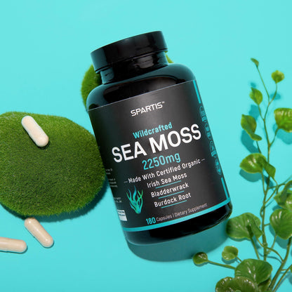 Certified Organic Sea Moss Capsules 2250mg Wildcrafted Irish Sea Moss Burdock Root SPARTISUS supplements