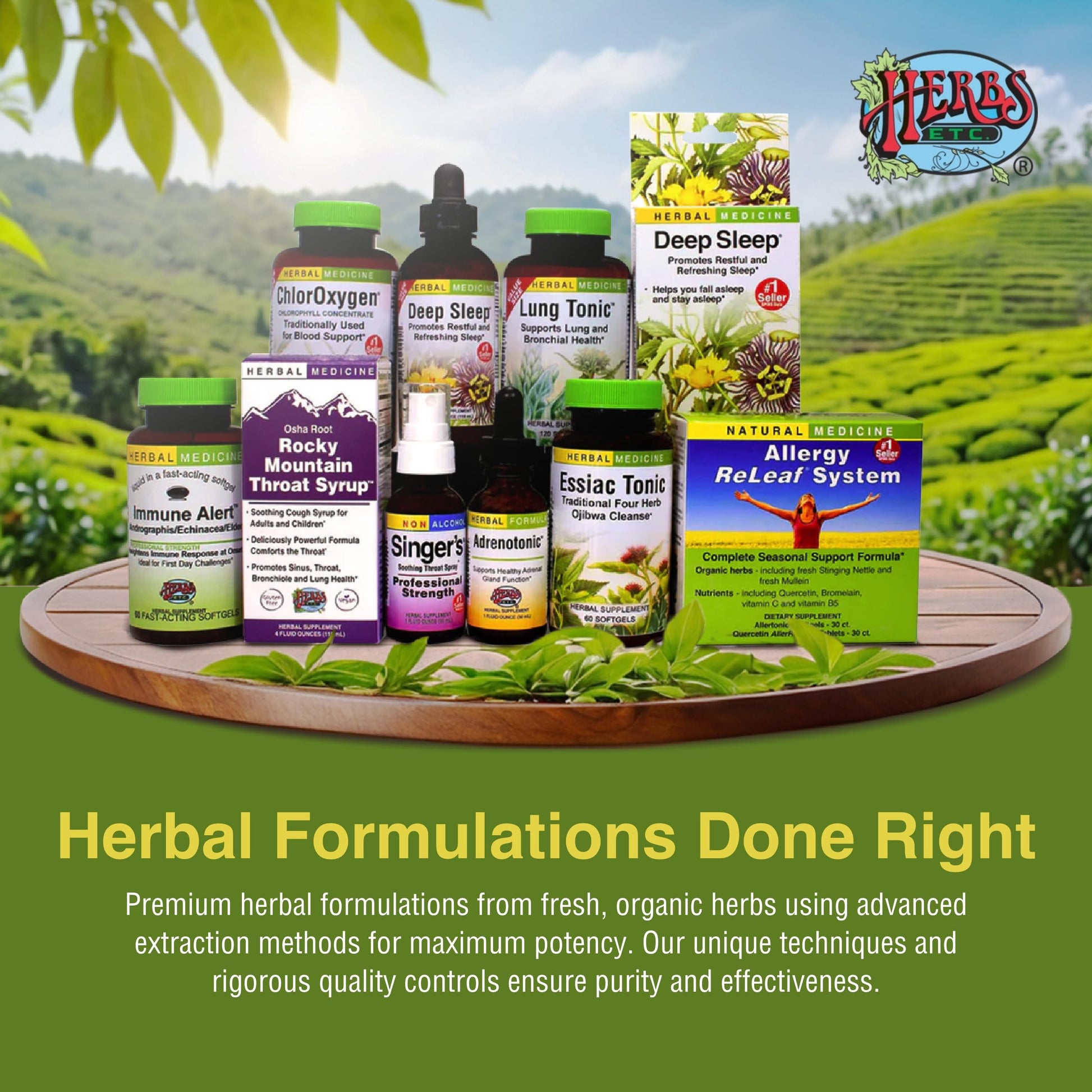 Herbs Etc. Lung Tonic - Lung Supplement for Bronchial Support - Healthy Breathing Support with Mullein, Horehound & Grindelia - 120 Softgels Herbs Etc.Au supplements