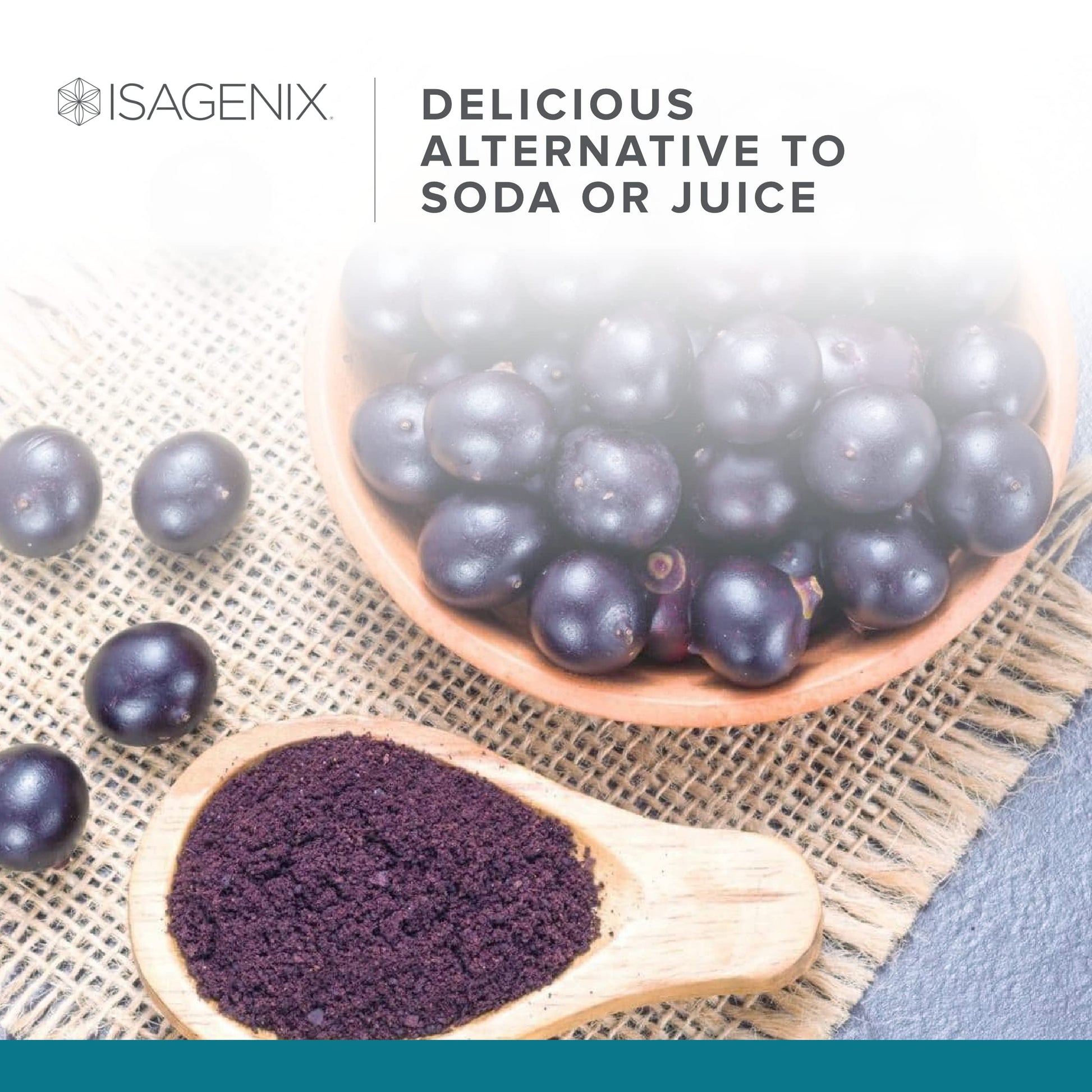 Isagenix Fruits - Phytonutrient & Superfruits Drink Mix - Health Support Supplement IsagenixUS supplements
