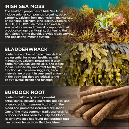 HerbaMe Organic Irish Sea Moss with Bladderwrack, Burdock Root & Black Pepper Extract HerbaMeUS supplements