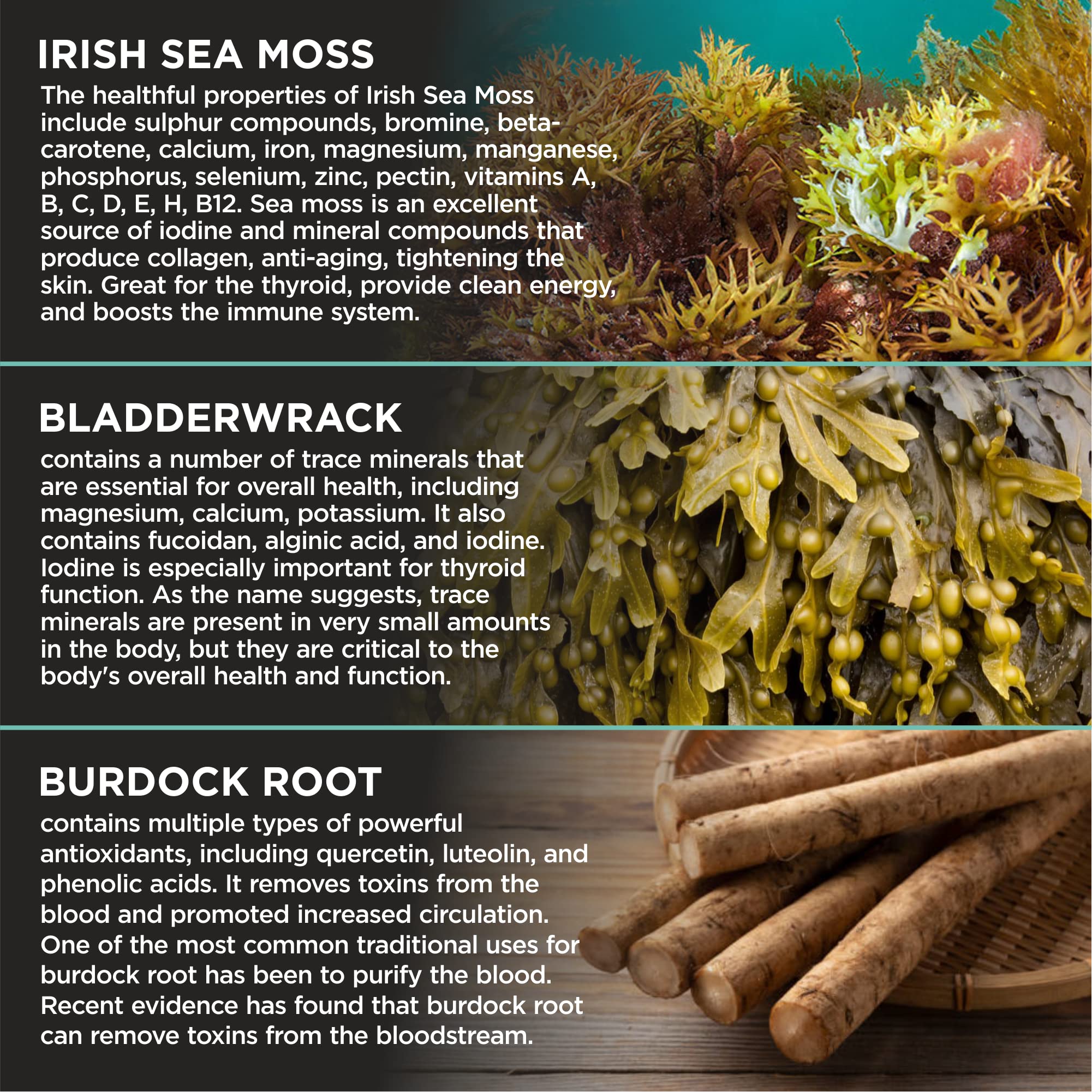 HerbaMe Organic Irish Sea Moss with Bladderwrack, Burdock Root & Black Pepper Extract, 150 Capsules, Thyroid Support, Natural Iodine Source, Promotes Immune System, Cell Food, Alkaline Supplement HerbaMeAu supplements