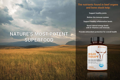 SaltWrap Organ Therapy - Grass Fed Beef Organ Meat Complex Supplement with Organic SaltWrapUS supplements