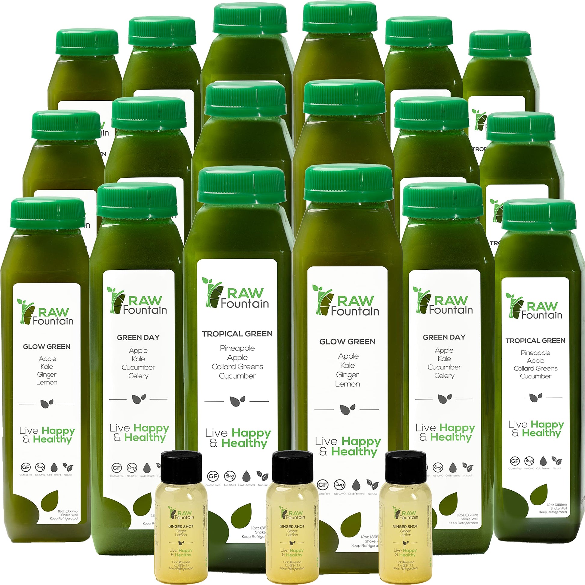 Raw Fountain 5 Day Green Juice Cleanse, All Natural Raw, Vegan Detox, Cold Pressed Raw FountainUS supplements