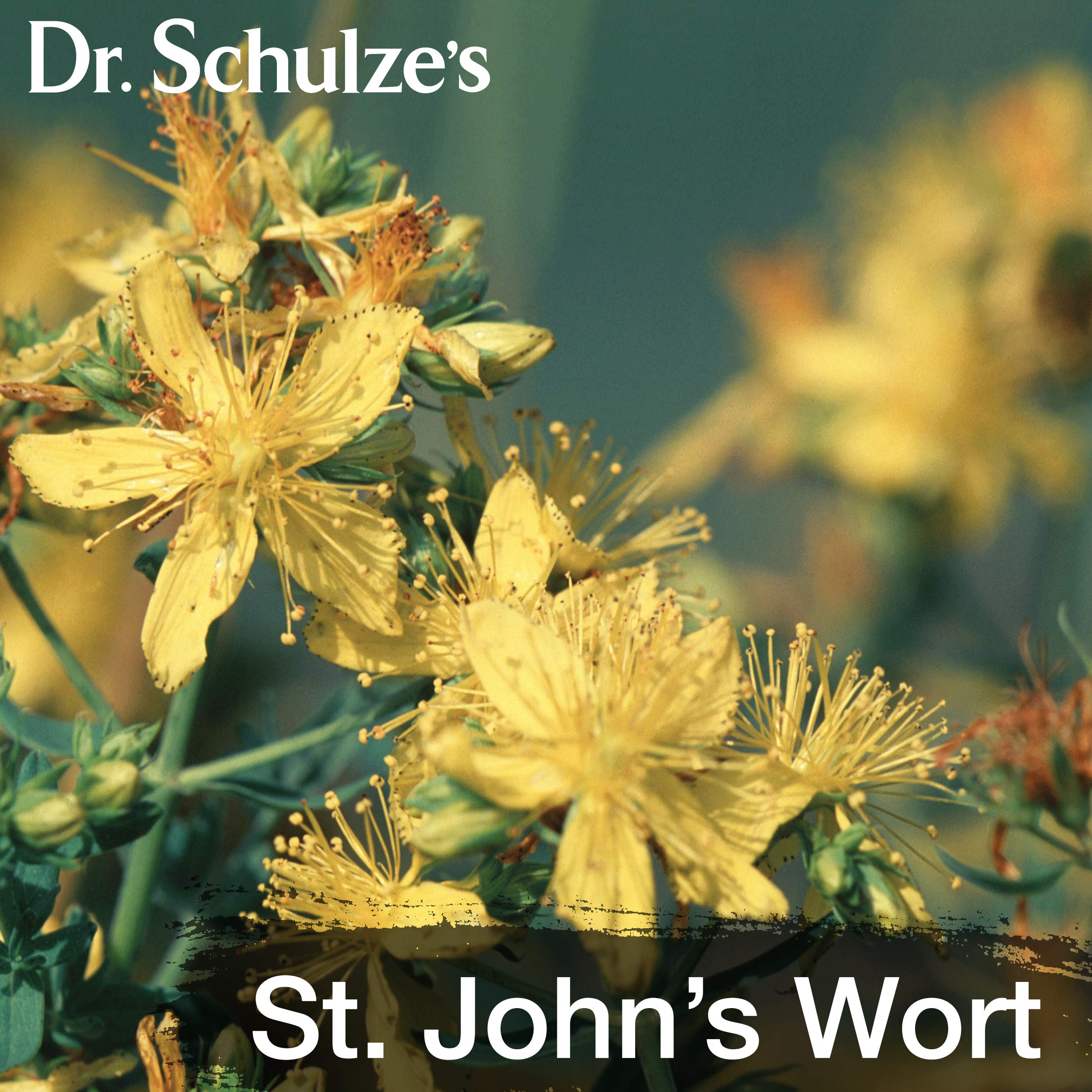 Dr. Schulze's Deep Tissue Oil | Powerful Herbal Support for Muscles, Tendons and Joints Dr. Schulze'sUS supplements