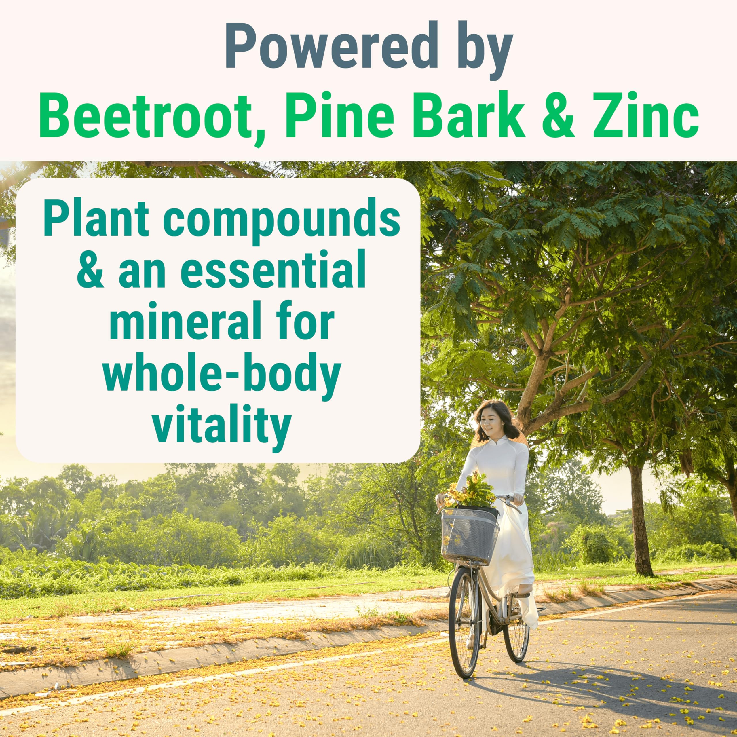 Pine Bark Extract L-Arginine L-Citrulline Beetroot Probiotic Fiber Methylated B Complex Zinc Gummies for Women Men Adults Kids w. Chicory Root Inulin 5-MTHF B6 P5P Powder Capsule Pill Supplement Alt SHIZAMAu supplements