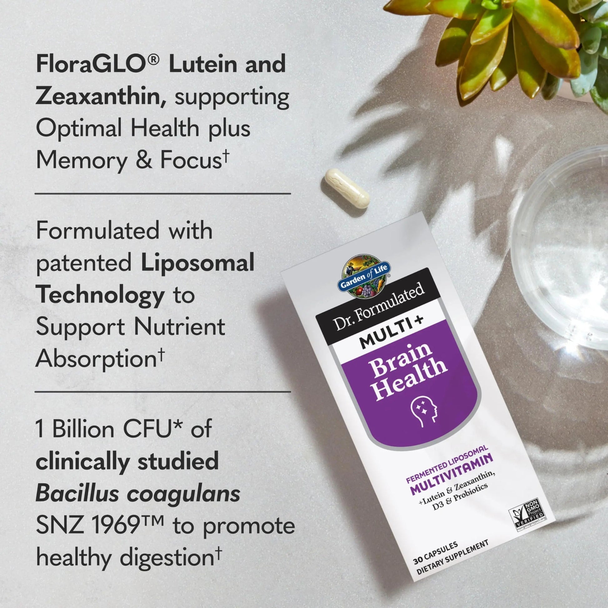 Garden of Life Dr Formulated Multi+ Brain Health, Fermented Liposomal Multivitamin + Lutein & Zeaxanthin, Vitamin D3 & Probiotics Garden of LifeAu supplements
