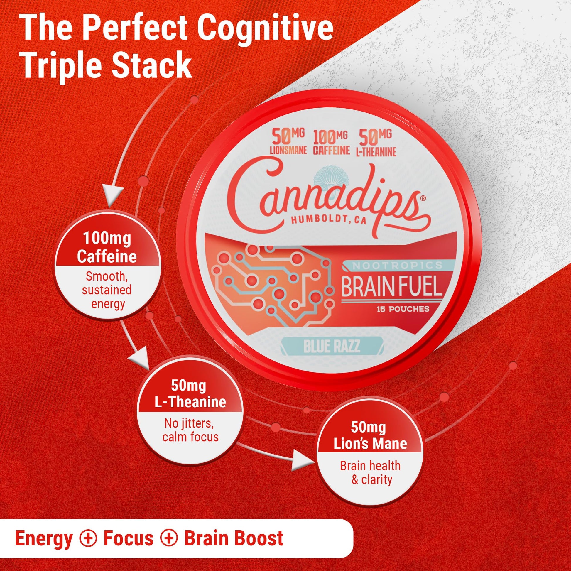 Cannadips - Brain Fuel Variety Pack - Nootropic Caffeine Pouches - 50mg Lion's Mane, 100mg Caffeine, 50mg L-Theanine, No Sugar - Clean Energy Brain Fuel for Cognitive Performance, Made in USA (5-PACK) CannadipsAu supplements
