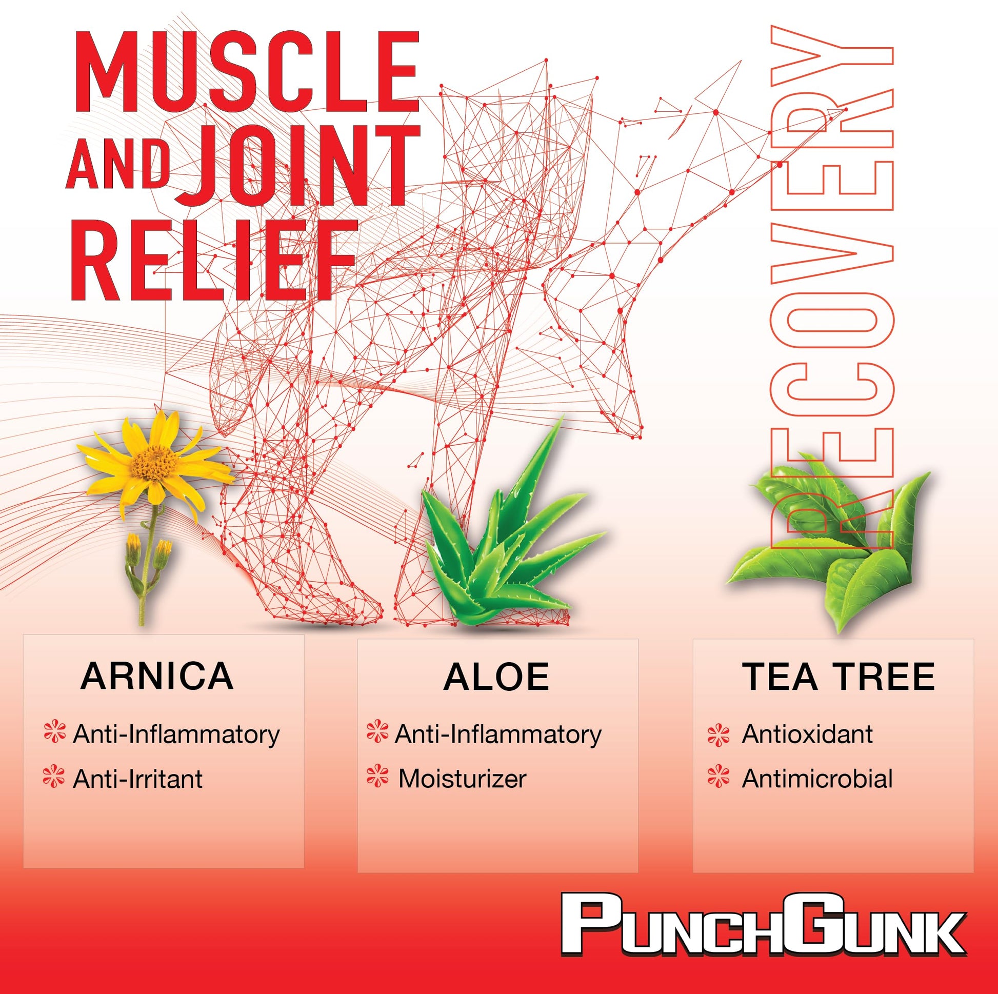 PunchGunk Muscle and Joint Relief Cream for Sore Muscles and Joints, Non Greasy, Naturally Advanced Lotion with Arnica, Aloe & Tea Tree 3.0oz PUNCHGUNKAu supplements