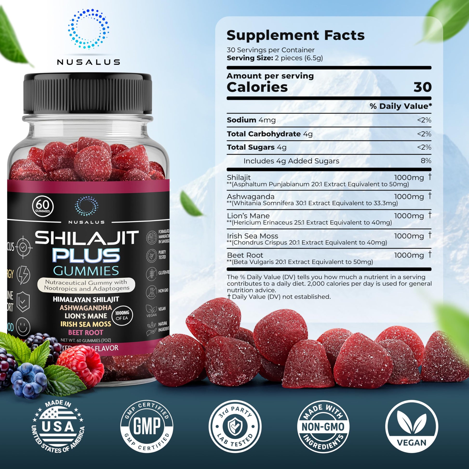 Nusalus Shilajit Plus Gummies – 5-in-1 Adaptogen Energy & Focus Supplement | Shilajit, Ashwagandha, Lion’s Mane, Sea Moss & Beet Root | Natural Energy & Stress Support | Made in USA, Vegan, 60ct NusalusAu supplements
