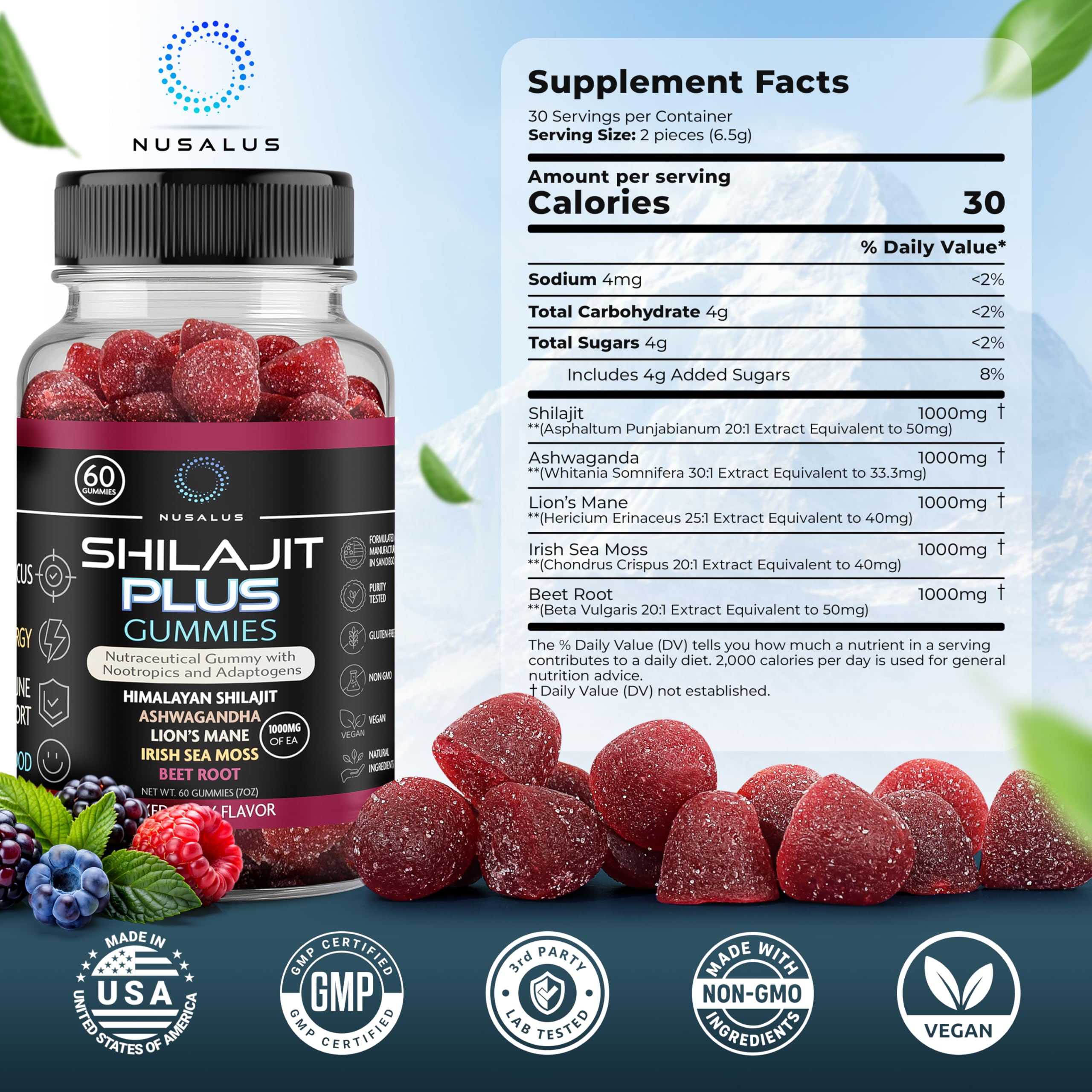 Nusalus Shilajit Plus Gummies – 5-in-1 Adaptogen Energy & Focus Supplement | Shilajit, Ashwagandha, Lion’s Mane, Sea Moss & Beet Root | Natural Energy & Stress Support | Made in USA, Vegan, 60ct NusalusAu supplements