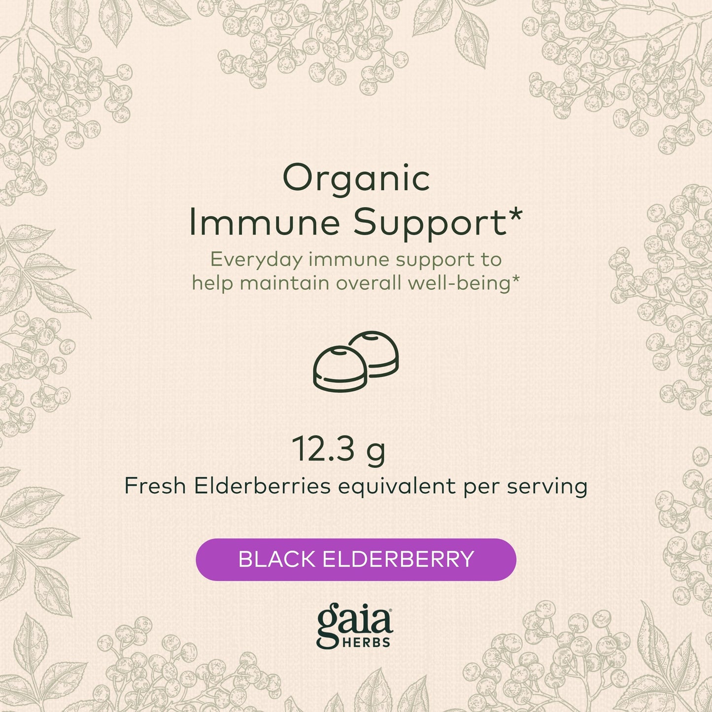 Gaia Herbs Black Elderberry (Sambucus Nigra) Extra Strength Gummies Gaia HerbsUS supplements