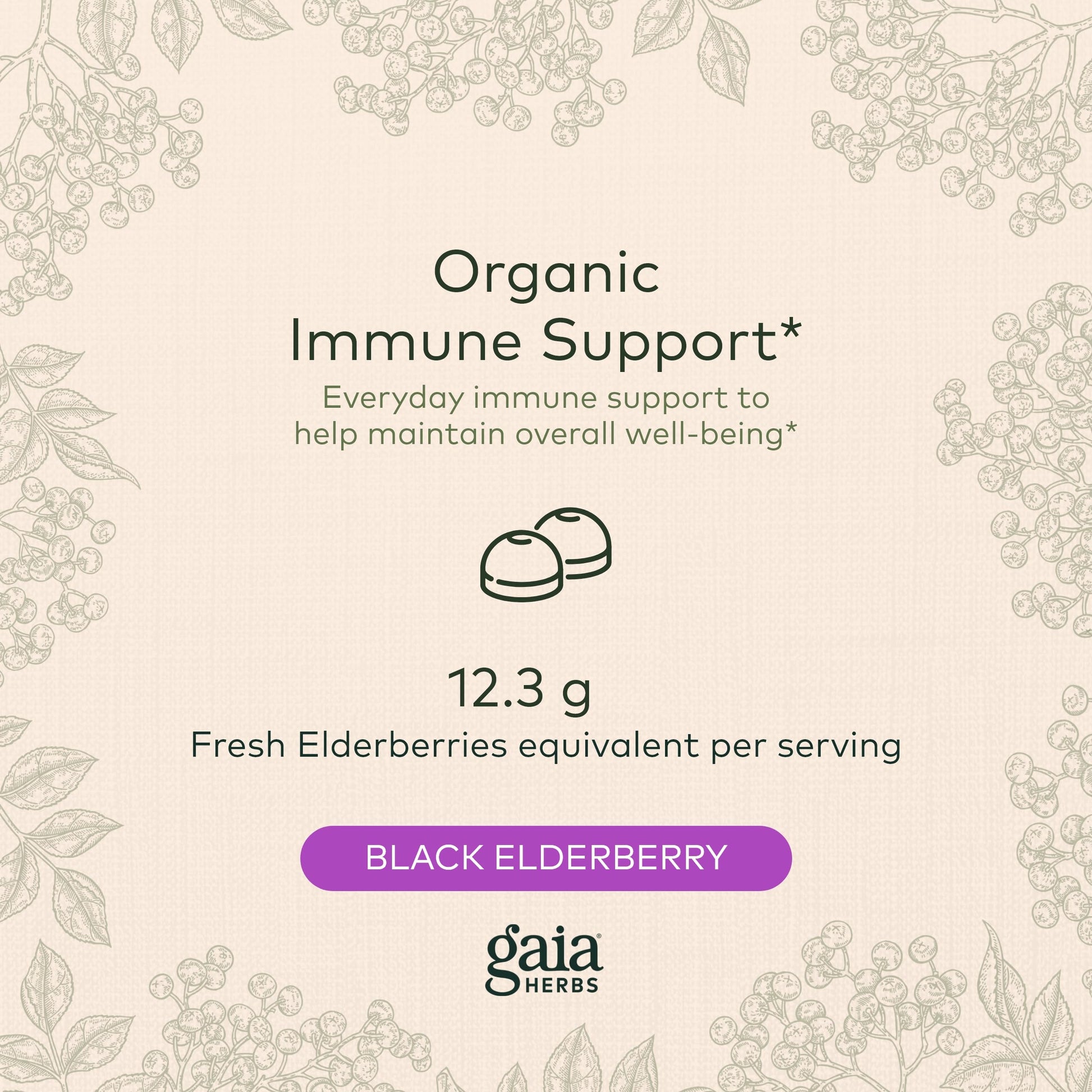 Gaia Herbs Black Elderberry (Sambucus Nigra) Extra Strength Gummies Gaia HerbsAu supplements