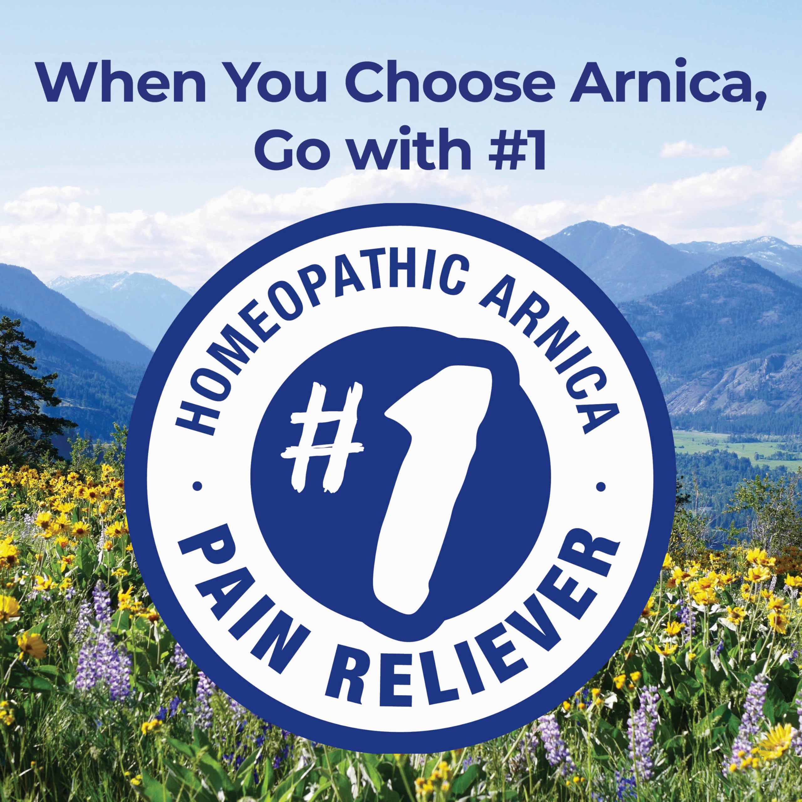 Boiron Arnica 30C Tablets for Pain Relief from Muscle Pain, Joint Soreness, Swelling from Injury or Bruises - 60 Count BoironAu supplements