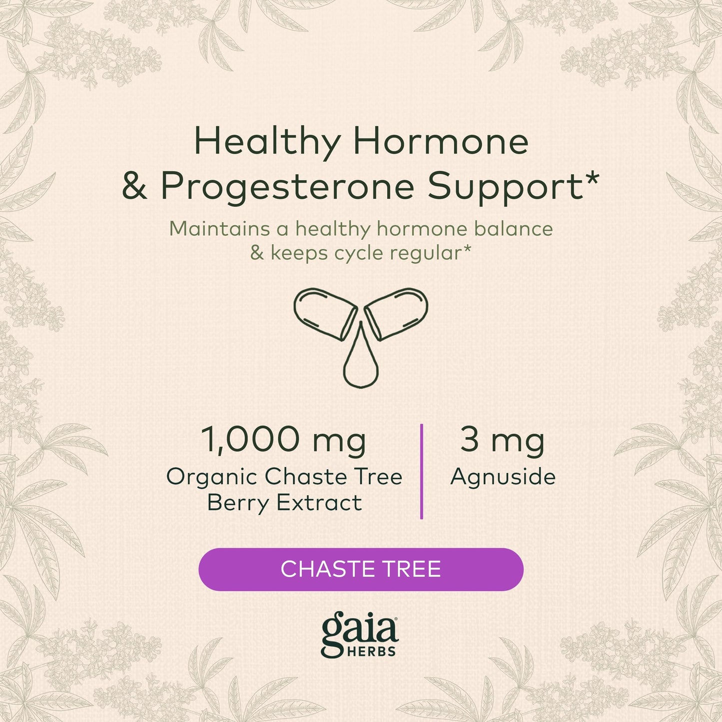 Gaia Herbs Vitex Berry (Chaste Tree) - Supports Hormone Balance & Fertility Gaia HerbsUS supplements