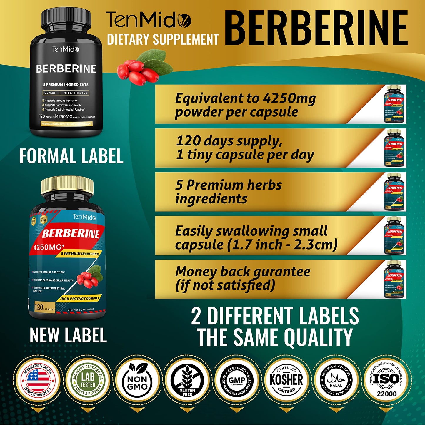 Berberine Extract Capsules 4250mg, 4 Months Supply & Ceylon, Milk Thistle, Turmeric TenmidoUS supplements