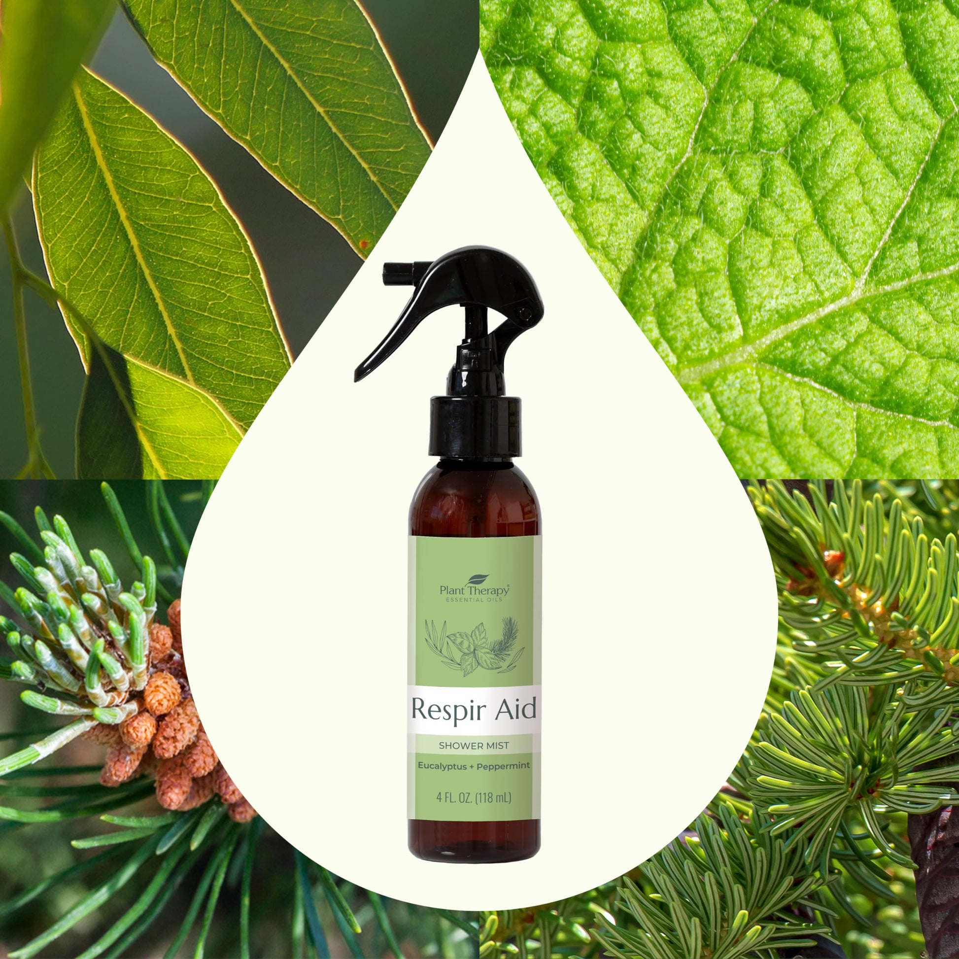 Plant Therapy Respir Aid Shower Mist 4 oz Refreshing & Crisp Aroma, Great to Help Clear Congestion Plant TherapyAu supplements