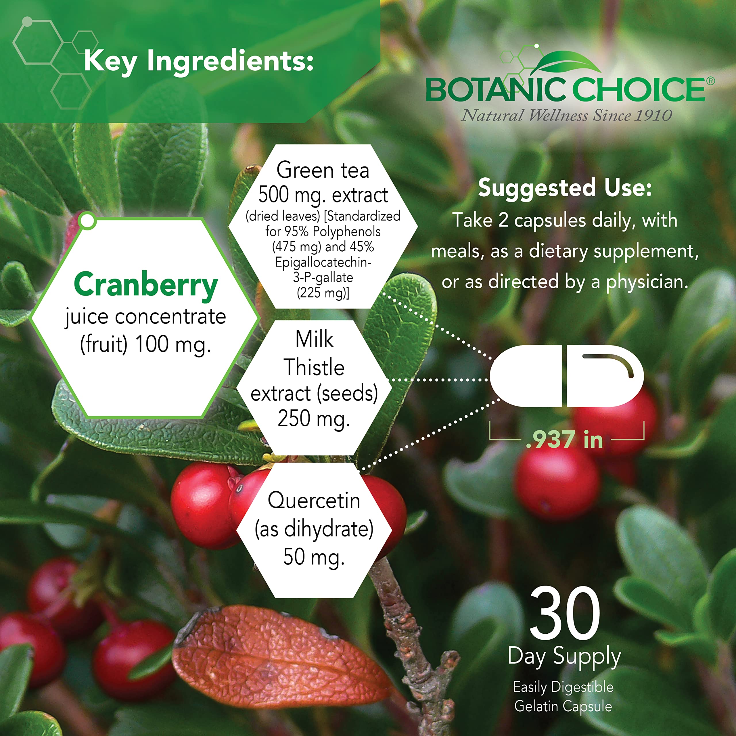Botanic Choice Ultra Kidney Complex - Optimal Kidney Support with Milk Thistle, Green Tea & More- 60 Capsules Botanic ChoiceAu supplements