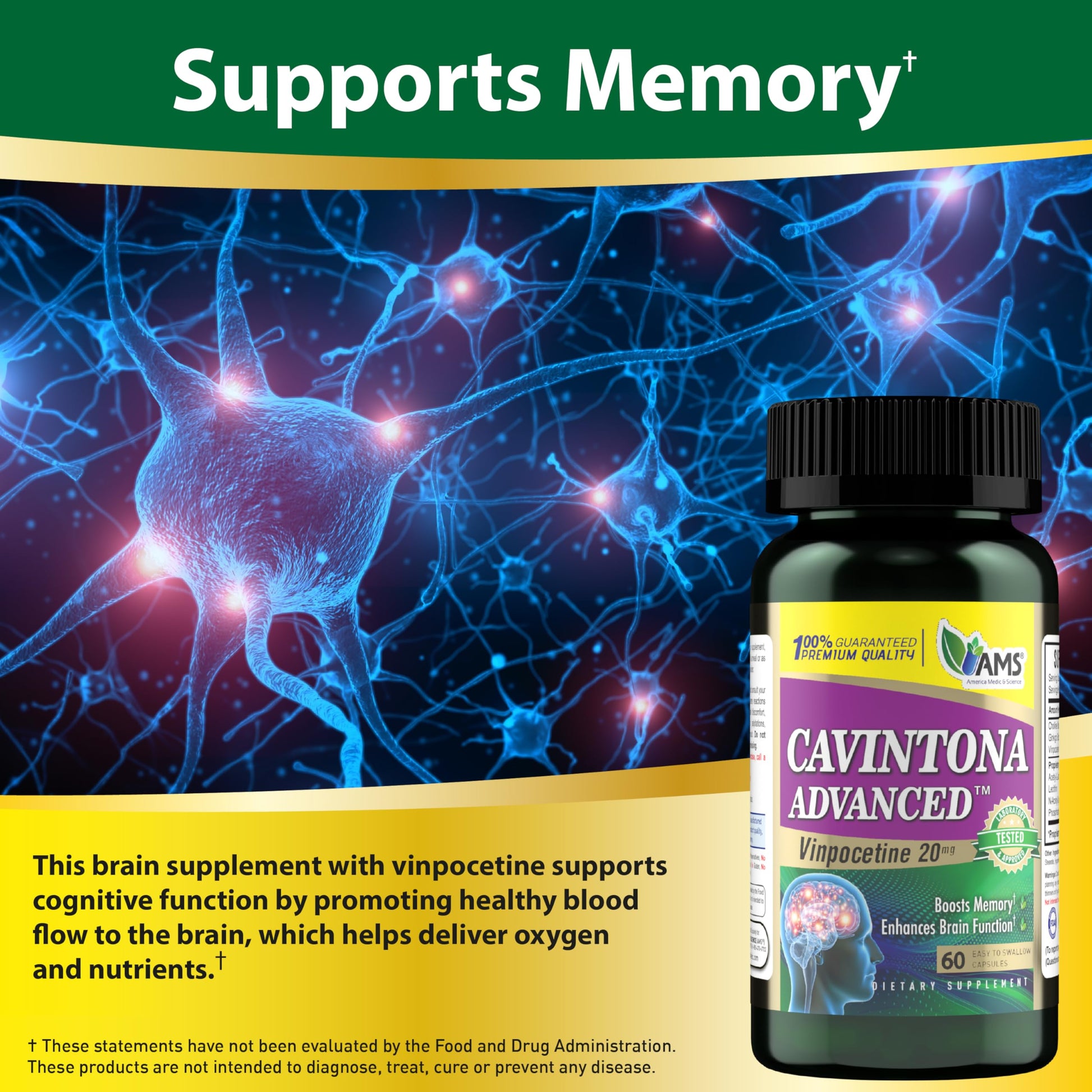 America Medic & Science Cavintona Advanced Supplement – Vinpocetine 20mg for Memory, Recall & Brain Health – Supports Cognitive Function, Focus, Mental Clarity & Blood Flow – 60 Capsules America Medic & ScienceAu supplements