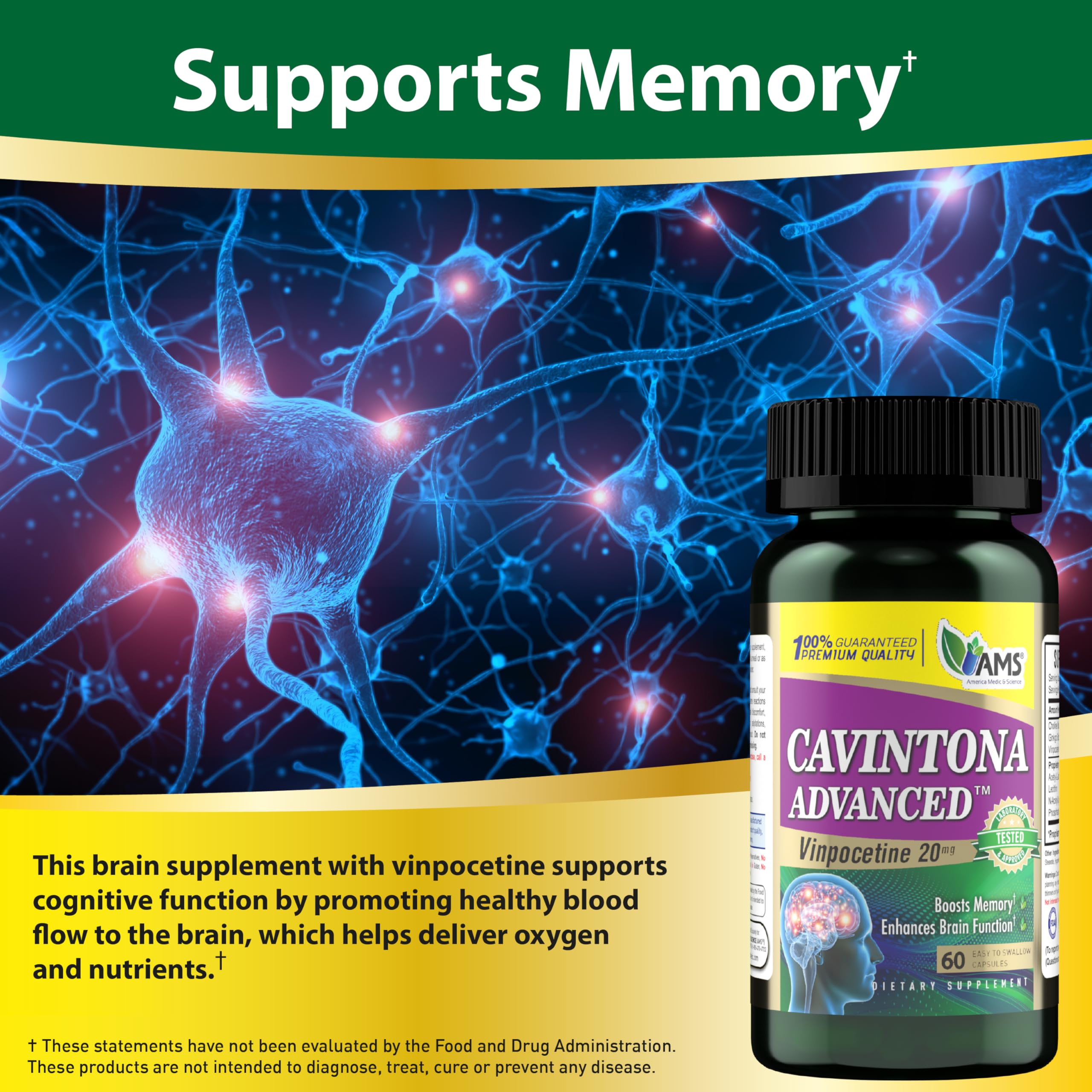 America Medic & Science Cavintona Advanced Supplement – Vinpocetine 20mg for Memory, Recall & Brain Health – Supports Cognitive Function, Focus, Mental Clarity & Blood Flow – 60 Capsules America Medic & ScienceAu supplements