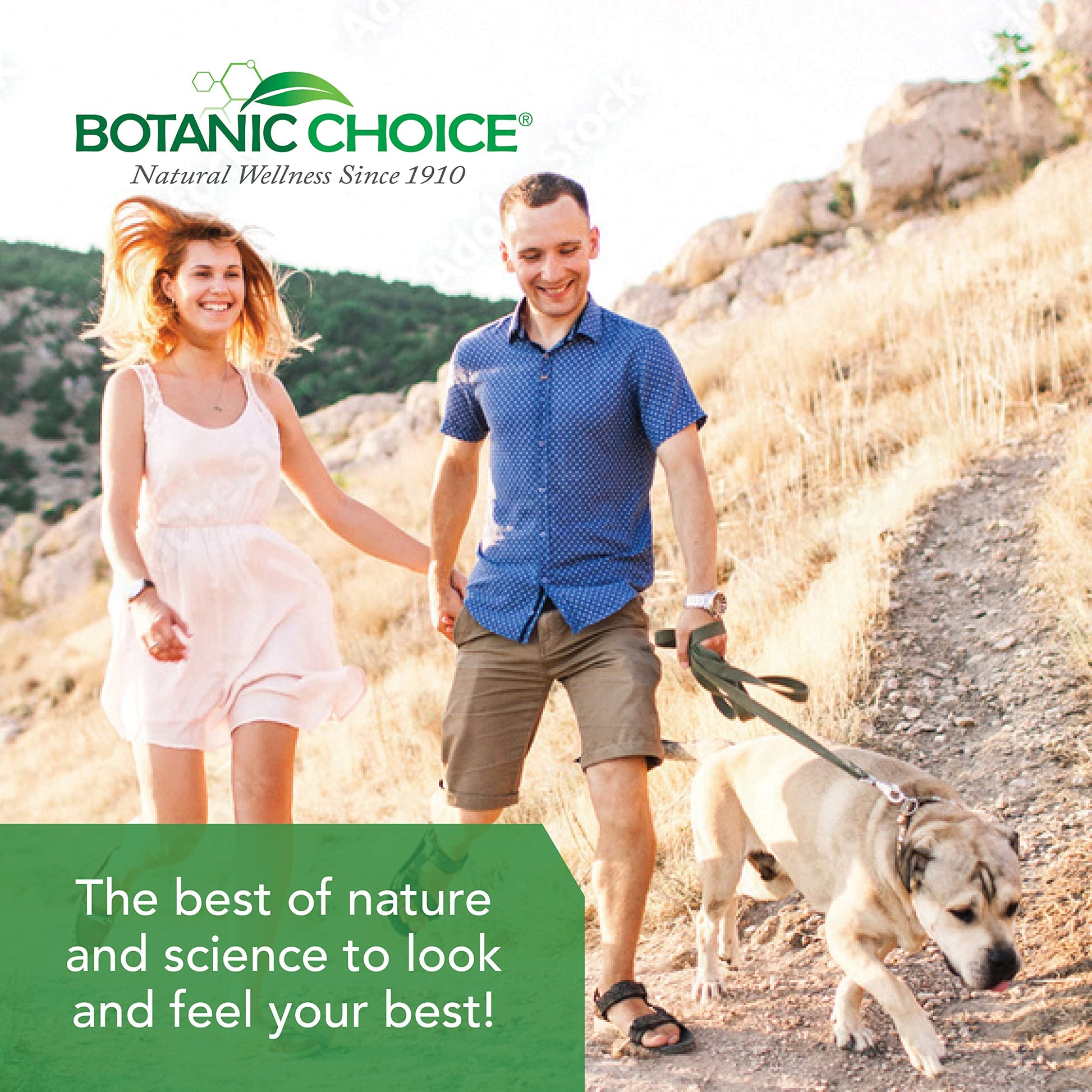 Botanic Choice Ultra Kidney Complex - Optimal Kidney Support with Milk Thistle, Green Tea & More- 60 Capsules Botanic ChoiceAu supplements