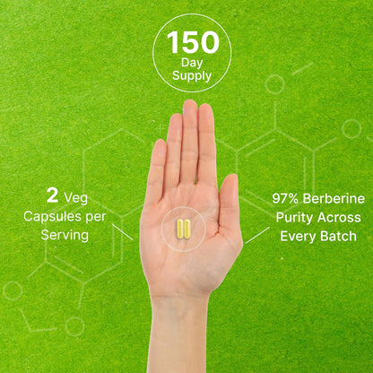 Berberine Supplement, 1,000mg Per Serving, 300 Veggie Capsules – 97% Pure Berberine DEAL SUPPLEMENTUS supplements